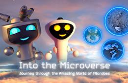 Into the Microverse